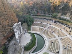 -音乐台