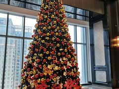 -三迪希尔顿酒店·星空酒廊