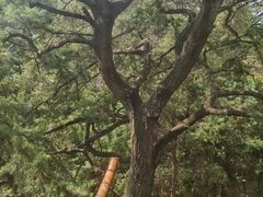 -昆明市金殿名胜区