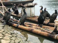 -楠溪江风景名胜区