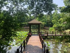 -上海滨江森林公园
