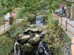 -藏龙百瀑风景区