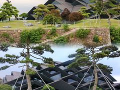 -东钱湖旅游度假区