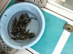 -鑫艋游艇海钓俱乐部