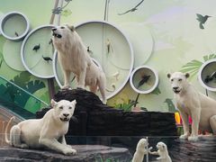 -陕西自然博物馆