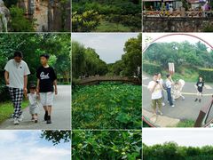 -同里国家湿地公园