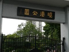 -晓港公园