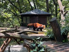 -云南野生动物园
