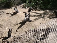 -沈阳森林动物园