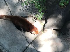 -昆明动物园