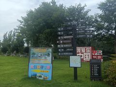 -合肥滨湖国家森林公园