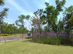 -上海长兴岛郊野公园