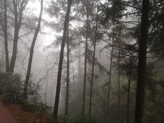 -綦江古剑山