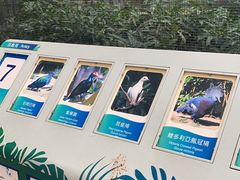 -九龙公园