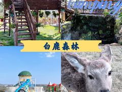 -热火朝天鲜切牛肉火锅(南强街巷店)