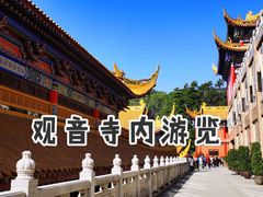 -东莞市大岭山森林公园