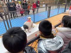 -太阳岛度假酒店