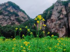 景点-大连冰峪旅游度假区
