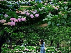 -名花谷生态庄园