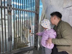 -泉城欧乐堡海洋极地世界