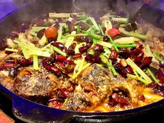 -老板恋上鱼(恒隆广场店)