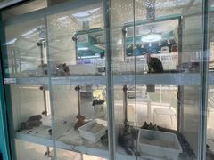 -爱侣宠医·鹦鹉专科·小型哺乳类·异宠专科(灵石路店)