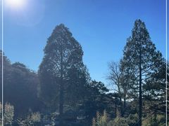 -红螺寺