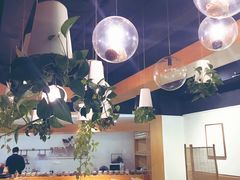 -柴务处·柴犬主题狗咖