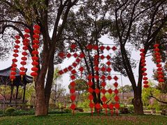 -无锡梅园公园