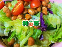 炒豆家大拌菜-炒豆合作社(东四总店)