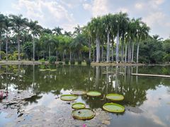 -中国科学院西双版纳热带植物园
