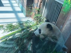 -大青山野生动物园