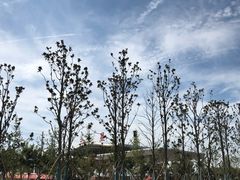 -首创奥特莱斯(西安店)