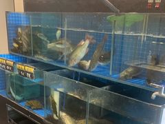 -状元楼(金溪路店)