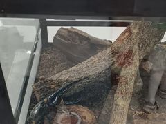 -上海昆虫博物馆