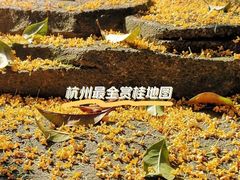 -杭州植物园