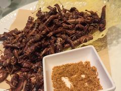 -燕郊烧鸽子(酷车小镇店)