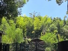 -耕渔小院·湖南鱼鲜(望城店)