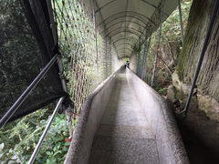 景点-百杖潭景区