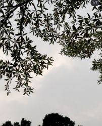 -自在瑜伽·普拉提馆MRBH