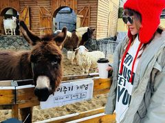 -HERRE·FARM 赫尔露营农场·团建聚会包场