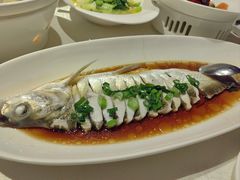 -金美华轩(东方路齐鲁店)