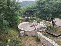 -石家庄市动物园