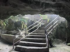 -地心探险极地