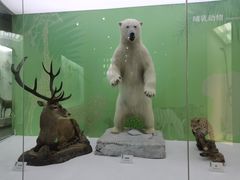 -国家自然博物馆