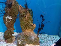 -海合安武汉极地海洋公园