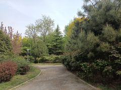 -北极寺公园