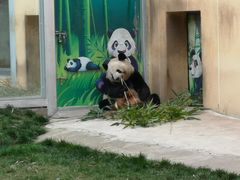 -西安秦岭野生动物园