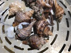 -苏大嘴海鲜牧场(奥林匹克店)