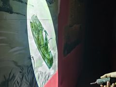 -BlueGame深蓝密室逃脱真人NPC(京投港·长阳店)